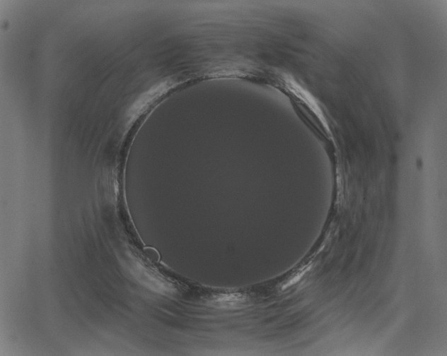 X0000062850059200601131400