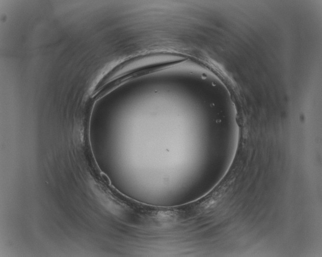 X0000062850060200601131400