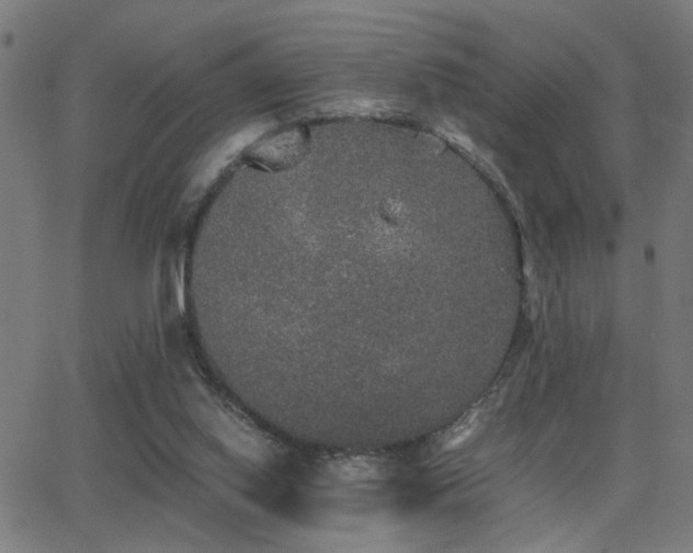 X0000062850062200601131400