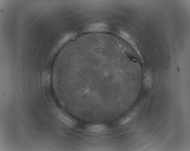 X0000062850063200601131400