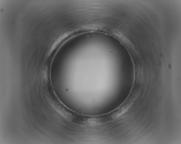 X0000062850064200601131400