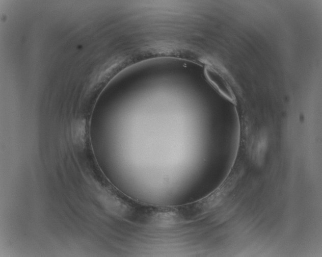 X0000062850066200601131400