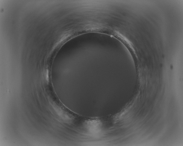 X0000062850067200601131400