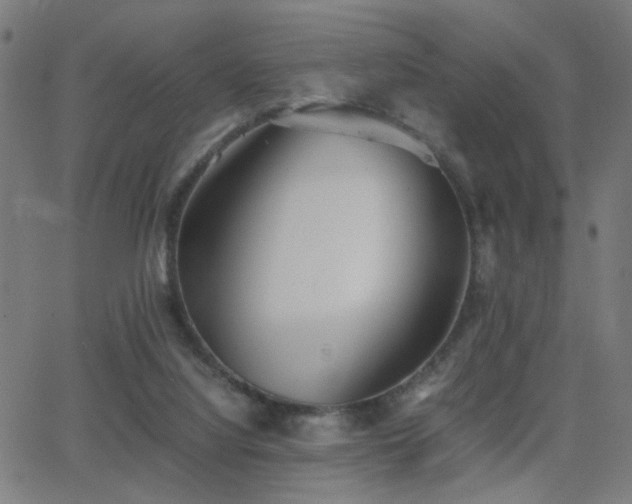 X0000062850068200601131400