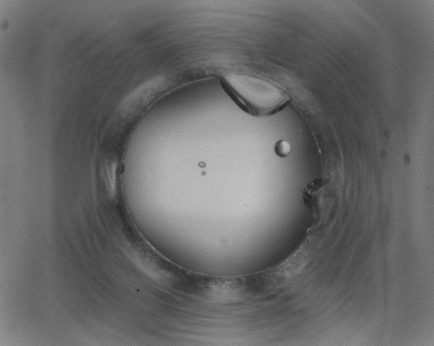 X0000062850070200601131400