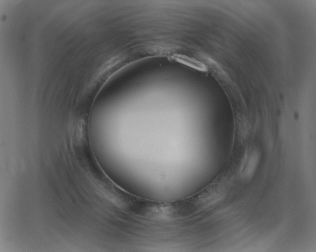 X0000062850071200601131400