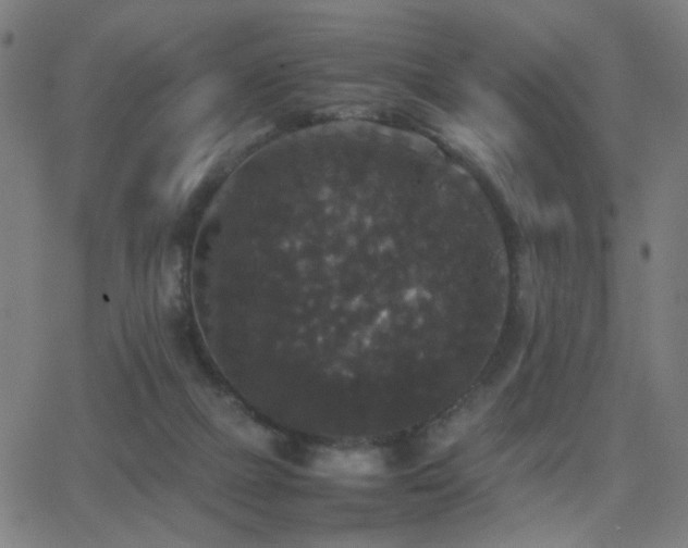 X0000062850073200601131400