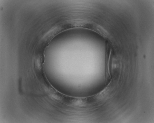 X0000062850074200601131400