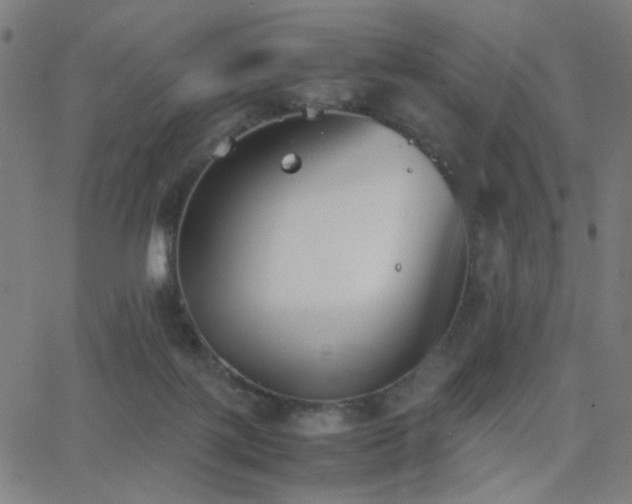 X0000062850075200601131400