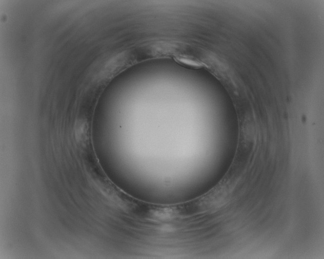 X0000062850079200601131400