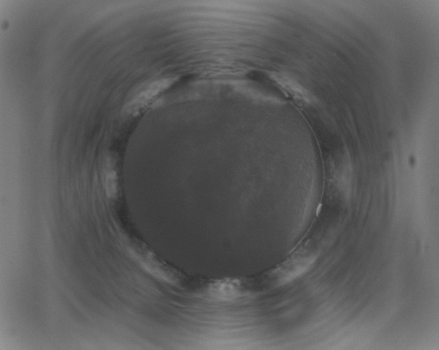 X0000062850080200601131401