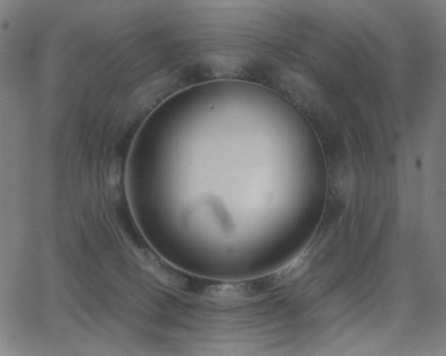 X0000062850082200601131401