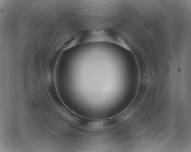 X0000062850084200601131401