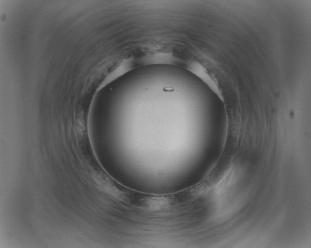 X0000062850085200601131401