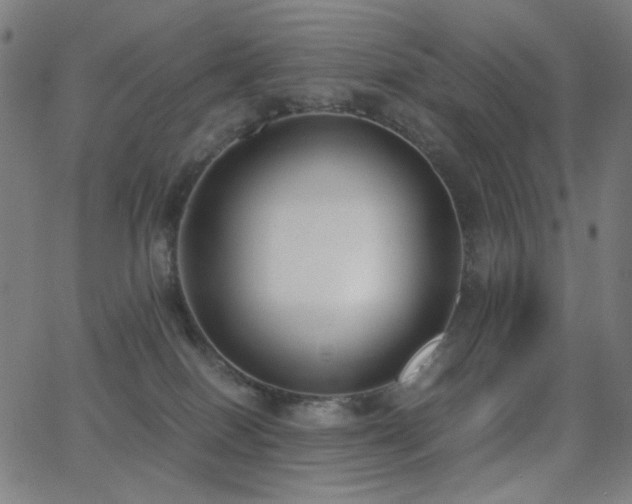 X0000062850086200601131401