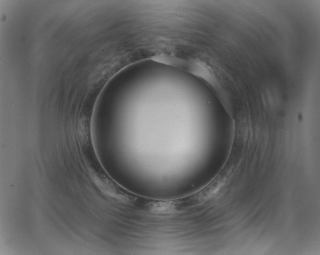 X0000062850088200601131401