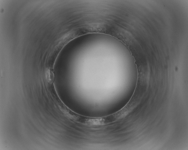 X0000062850089200601131401