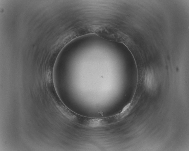 X0000062850090200601131401