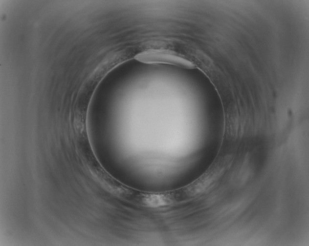 X0000062850091200601131401