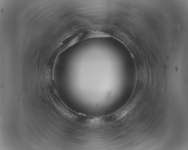 X0000062850092200601131401