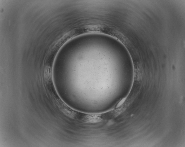 X0000062850093200601131401