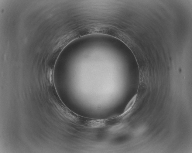 X0000062850094200601131401