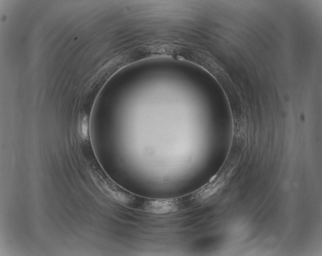 X0000062850095200601131401