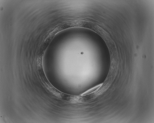 X0000062850096200601131401