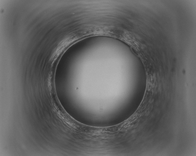 X0000062850098200601131400