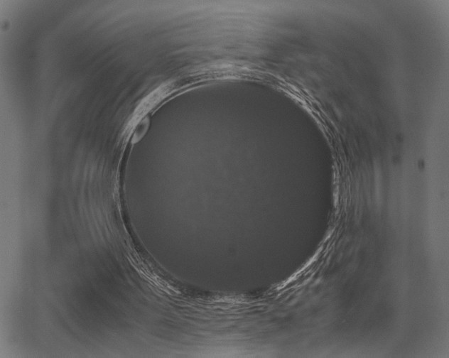 X0000062850099200601131400