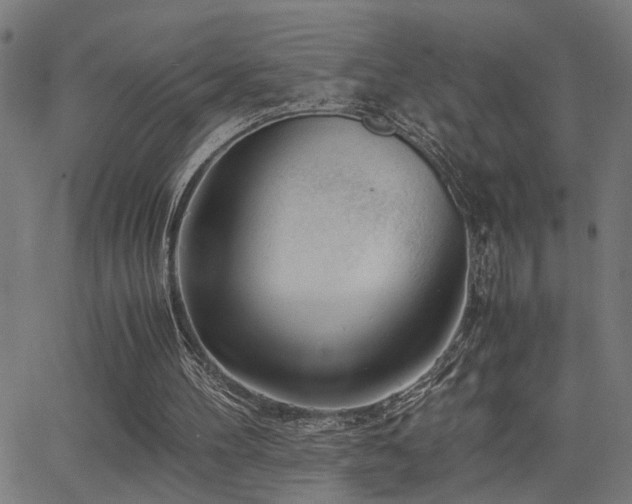 X0000062850100200601131400