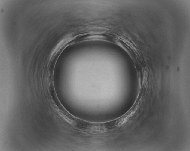 X0000062850101200601131400