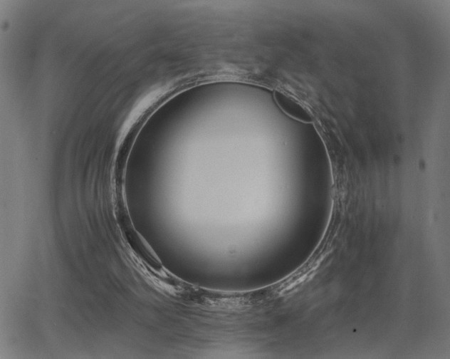 X0000062850102200601131400