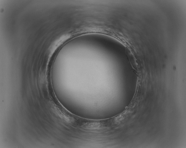 X0000062850104200601131400