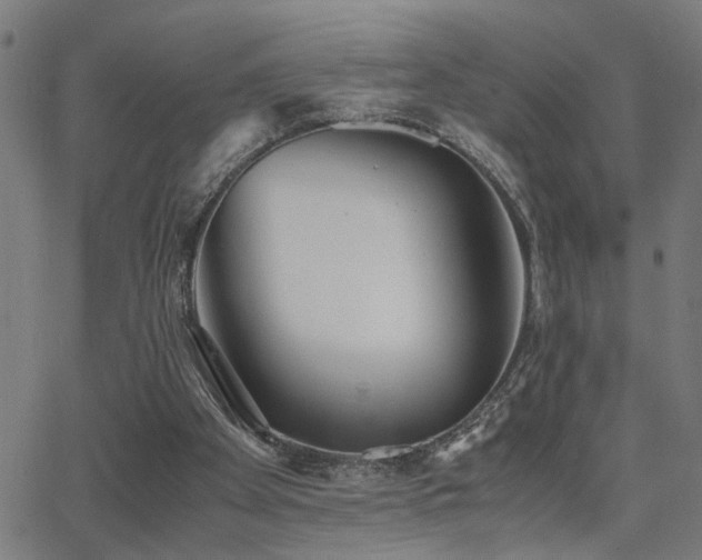 X0000062850105200601131400