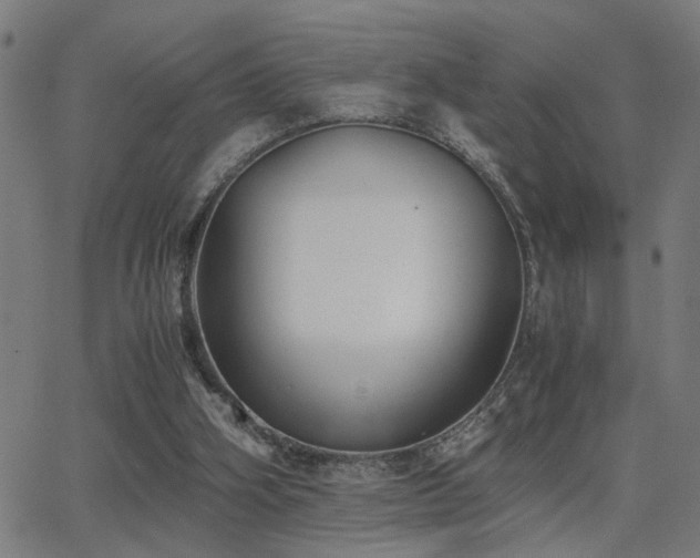 X0000062850106200601131400