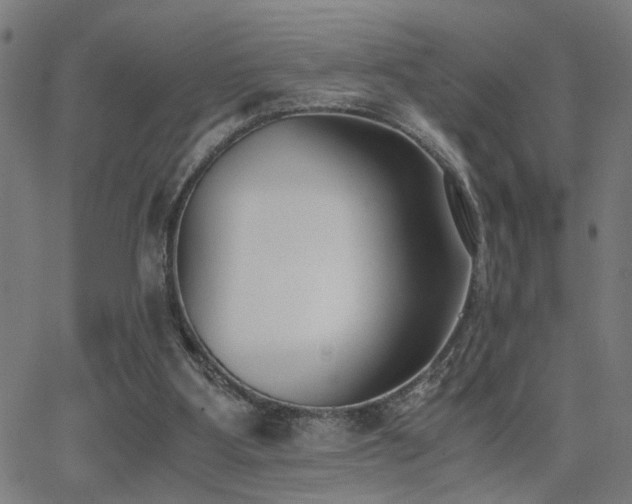 X0000062850107200601131400