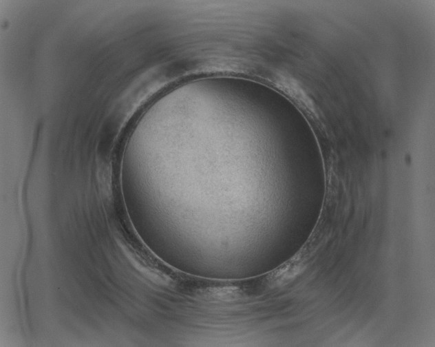 X0000062850108200601131400