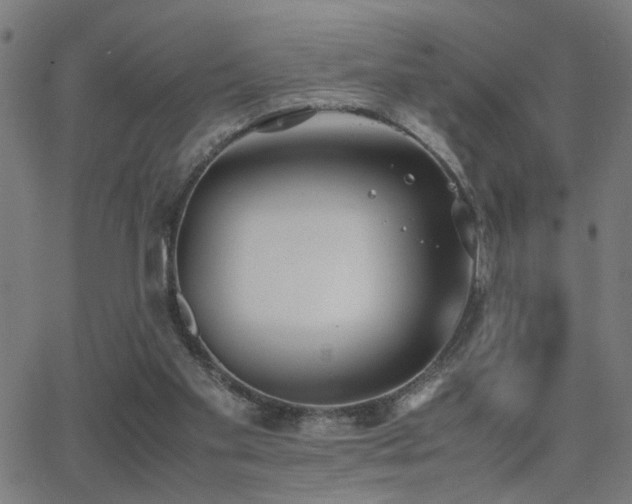 X0000062850109200601131400