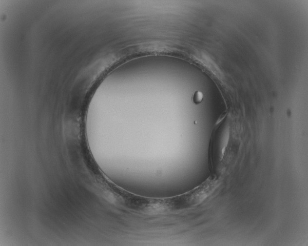 X0000062850111200601131400