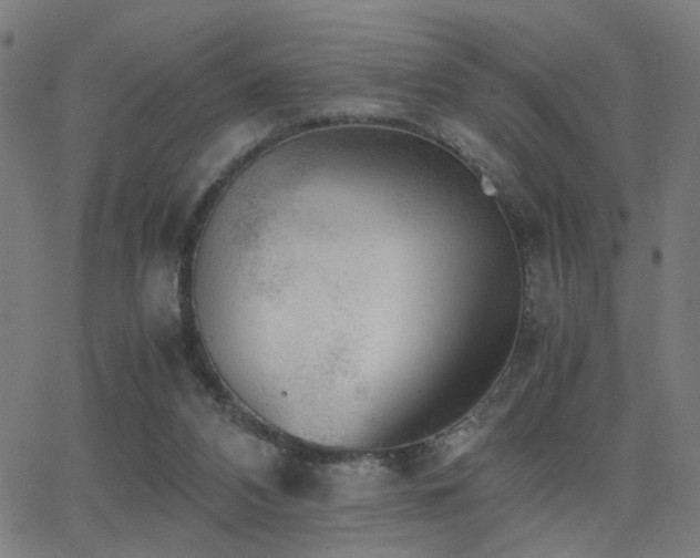 X0000062850112200601131400