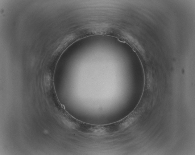 X0000062850113200601131400