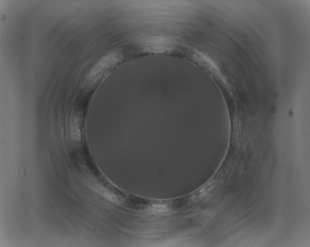 X0000062850114200601131400