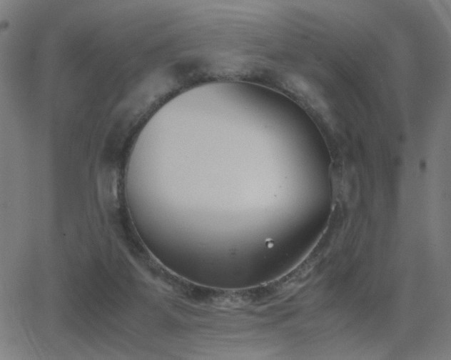 X0000062850115200601131400