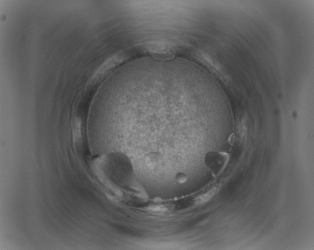 X0000062850117200601131400