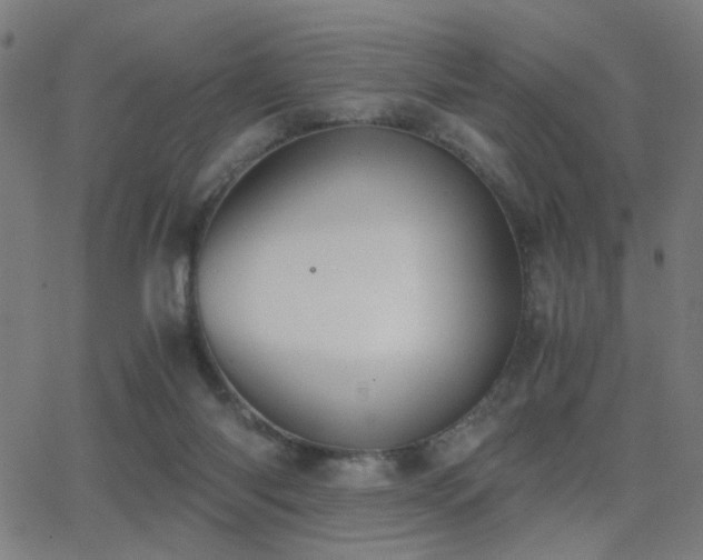 X0000062850118200601131400