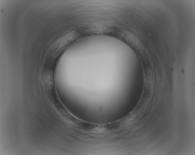 X0000062850119200601131400