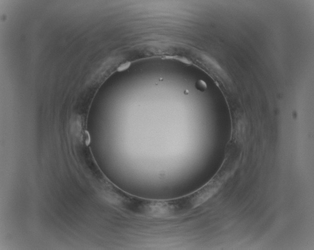 X0000062850121200601131400