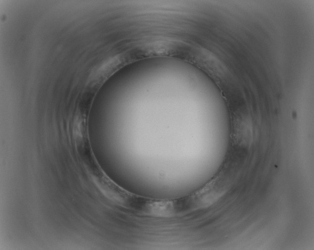 X0000062850126200601131400