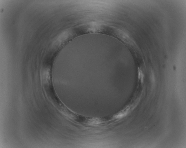 X0000062850127200601131359